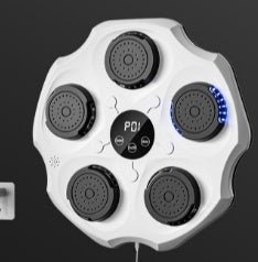 Home Fitness Intelligent Training Music Boxing Wall Target - fitforgesho